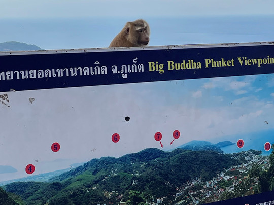 Tours With Jo-普吉镇必去景点