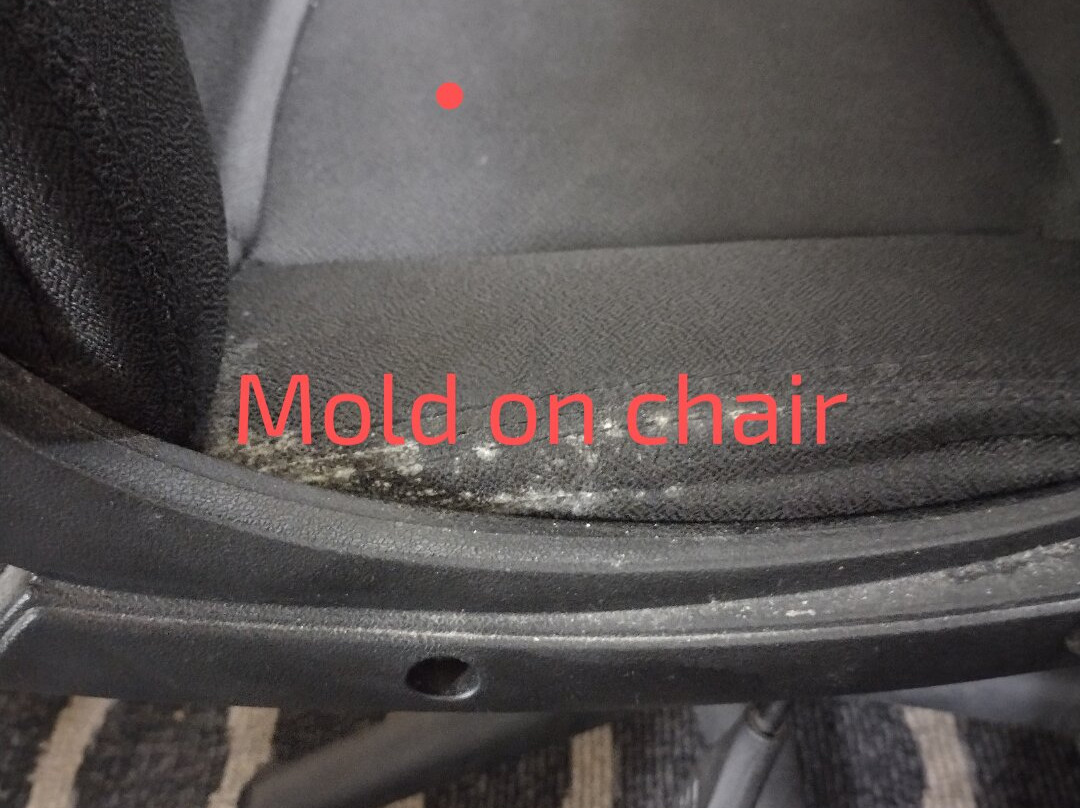 Quality Inn Reidsville Hwy 29主图