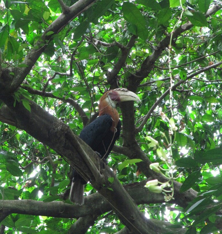 Rainforest Habitat-Lae必去景点