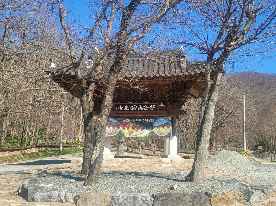Yongcheonsa Temple (Hampyeong)-咸平郡必去景点
