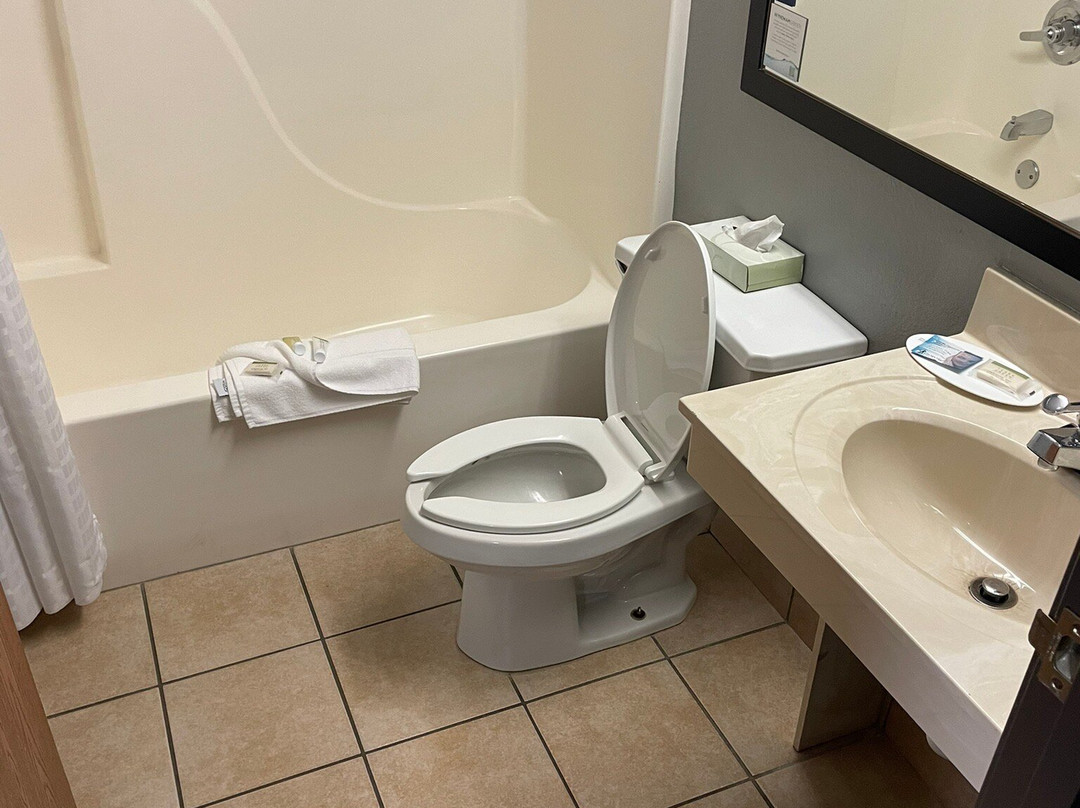 Super 8 by Wyndham Cloverdale主图