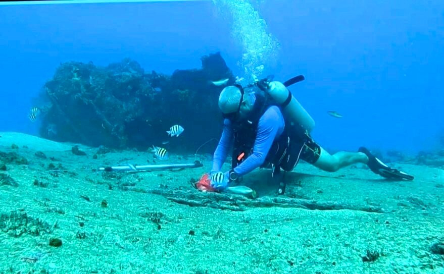 Shark's Friends Diving Center景点图片