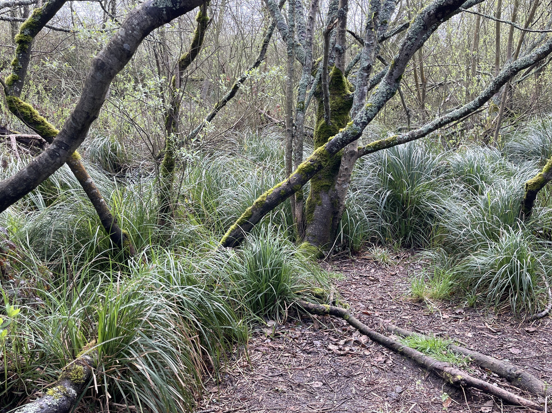 贝斯维斯特星海假日酒店主图