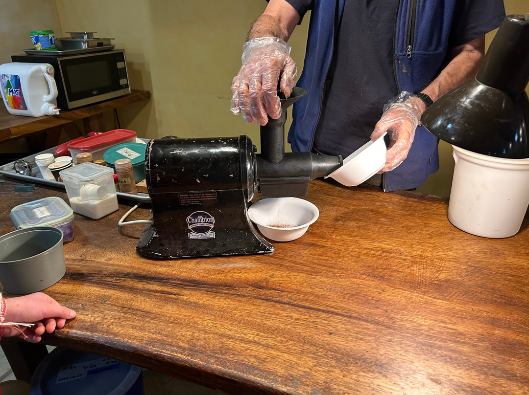 Cabure Chocolate Tour-蒙特沃德必去景点