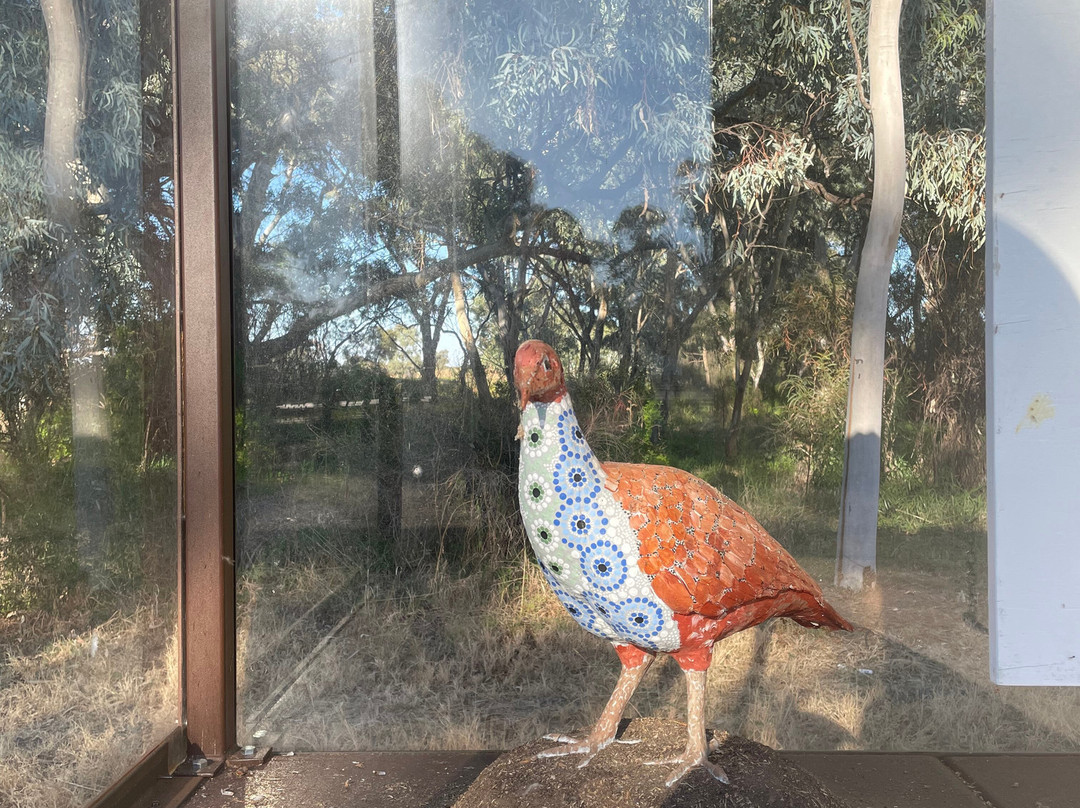 Yindyamarra-West Wyalong必去景点