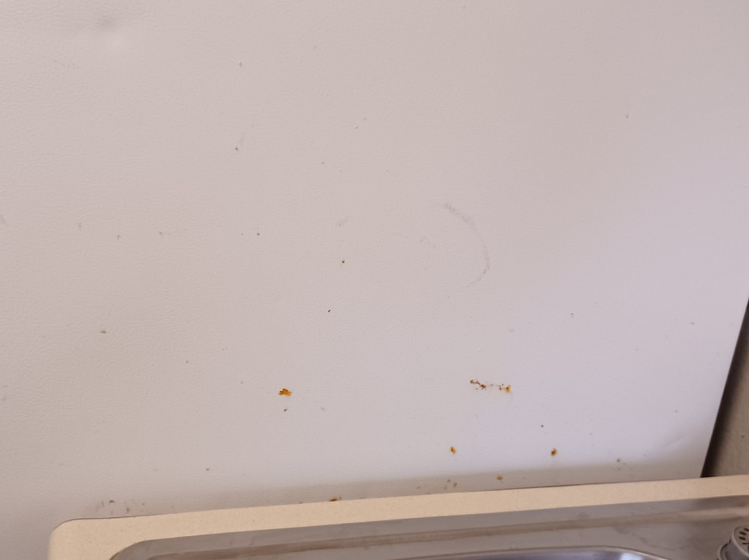 HomeTowne Studios & Suites Bentonville主图