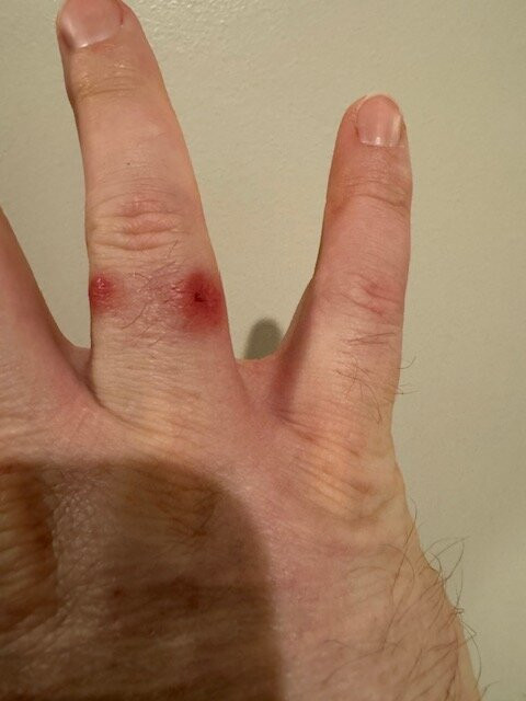 Hampton Inn Valdosta/Lake Park Area主图