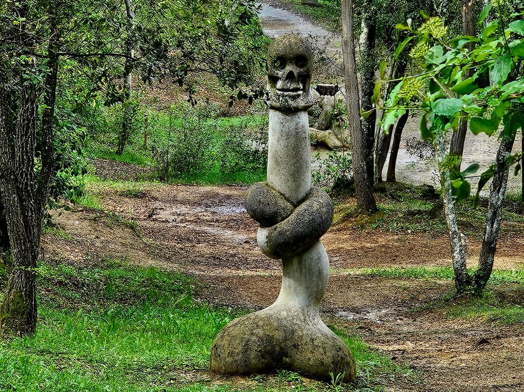 Bosc de Can Ginebreda景点图片