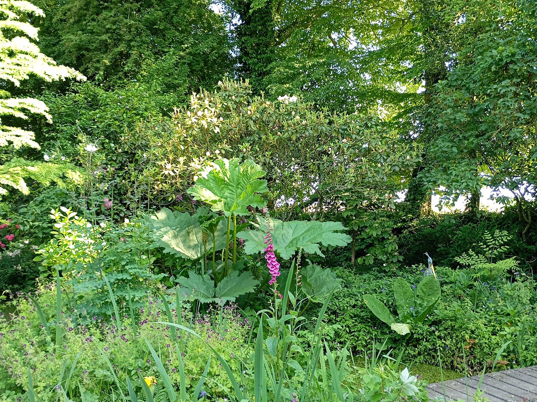 Jardin des Lianes景点图片