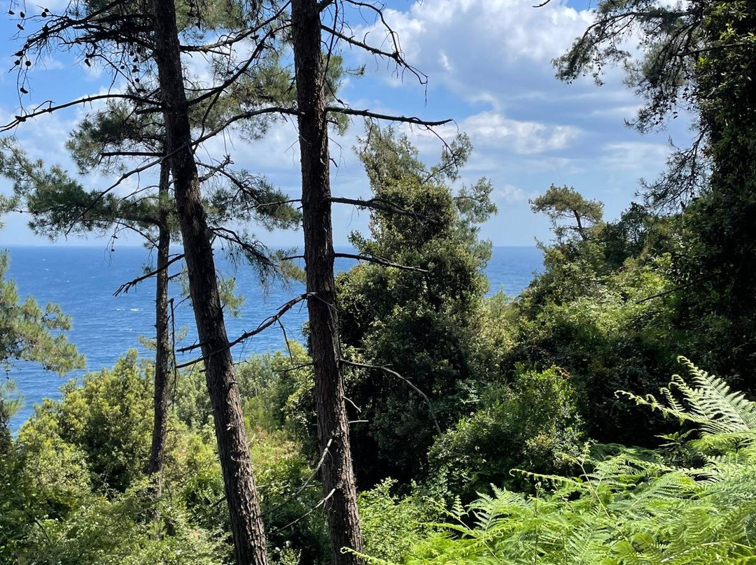 Acropolis-Thassos Town (Limenas)必去景点