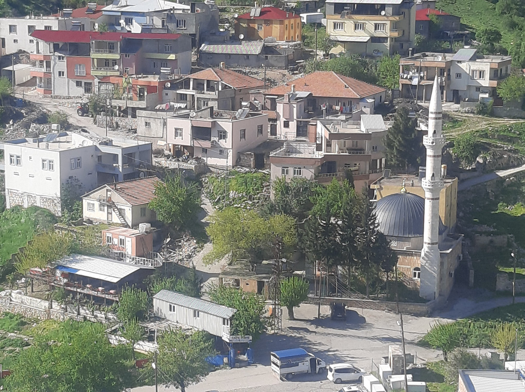 Adam Gibi Bir Yer / Cafe&restaurant