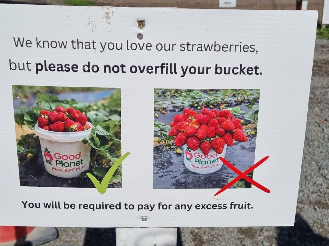 Good Planet-Riverhead必去景点