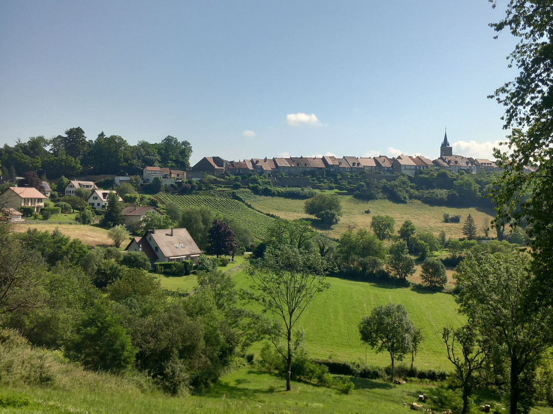 Office de Tourisme De Lons-le-Saunier景点图片