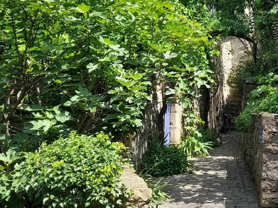 Village de Naves-Les Vans必去景点