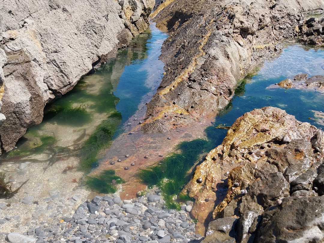 Port Eynon Beach景点图片