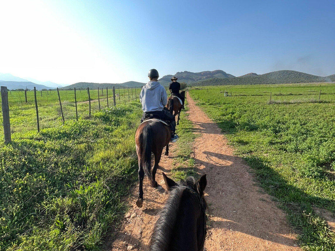 De Rust Horseriding - Klein Karoo Horse Adventures-德鲁必去景点