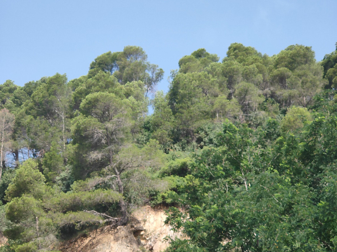 Stella Maris Soggiorno di Vacanza主图