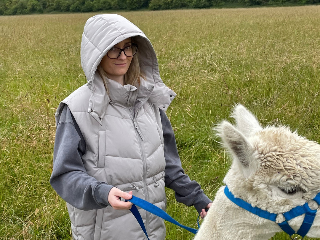 Alpaca & Unicorn Adventures景点图片