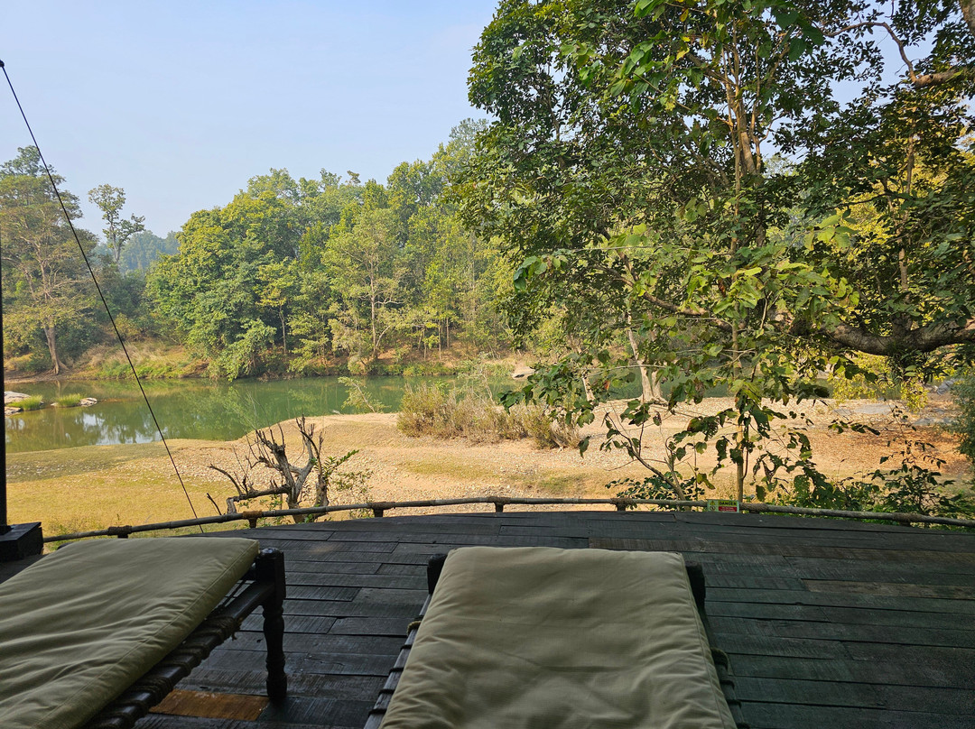 Banjaar Tola - A Taj Safari - Kanha National Park主图