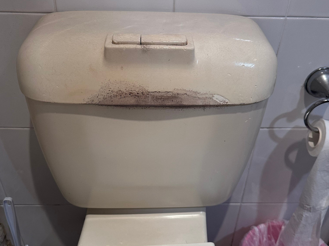 Country Plaza Motor Inn主图