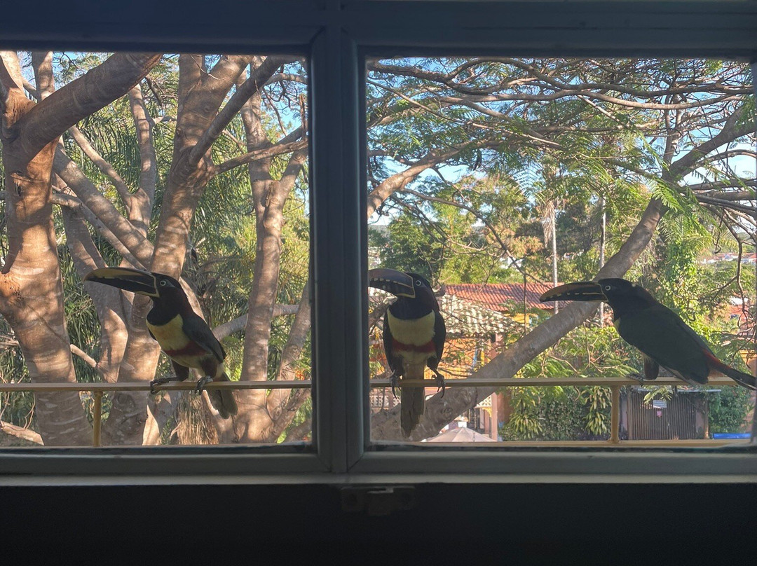 Pousada Villa Bia主图