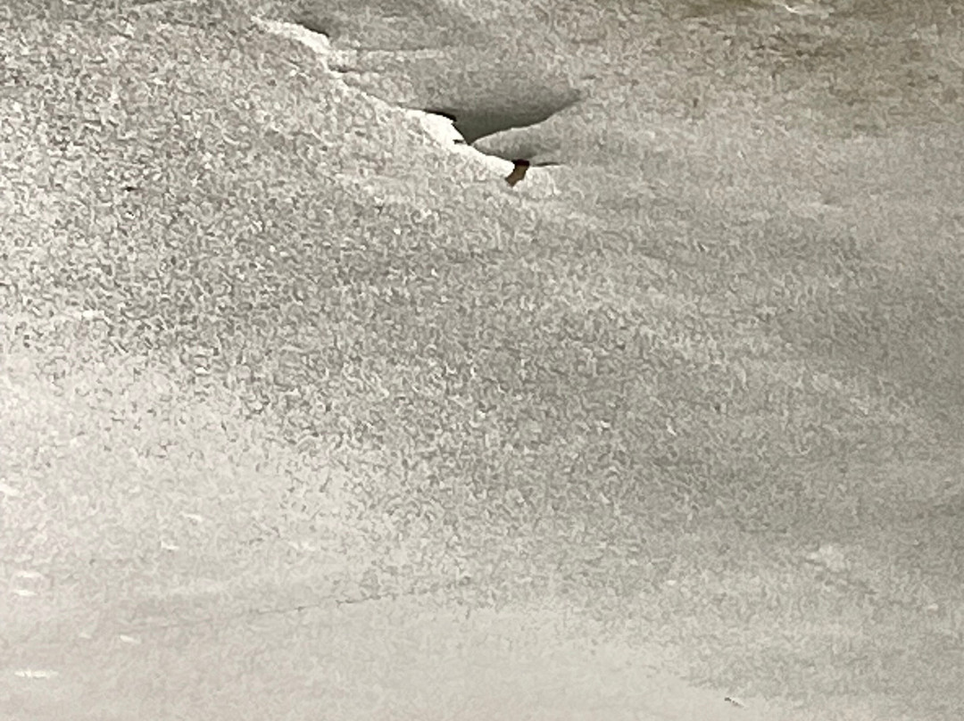 Comfort Inn & Suites主图