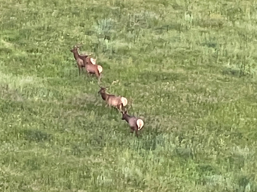 Above It All Balloon Company-斯诺马斯村必去景点