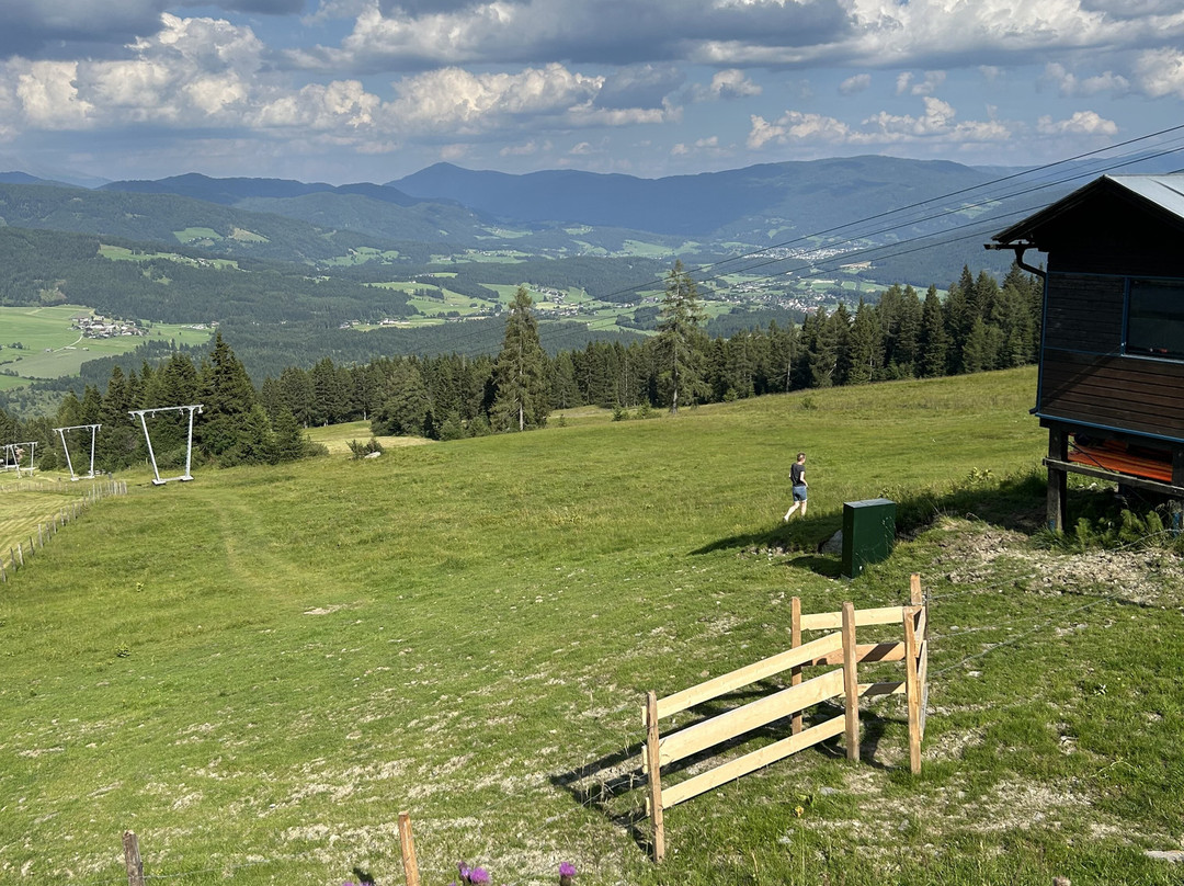 Sauschneideralm主图