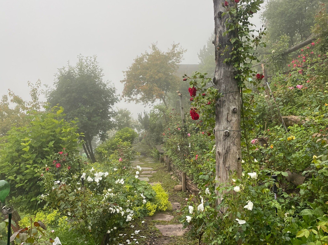 Rosarium Uhrerhof景点图片