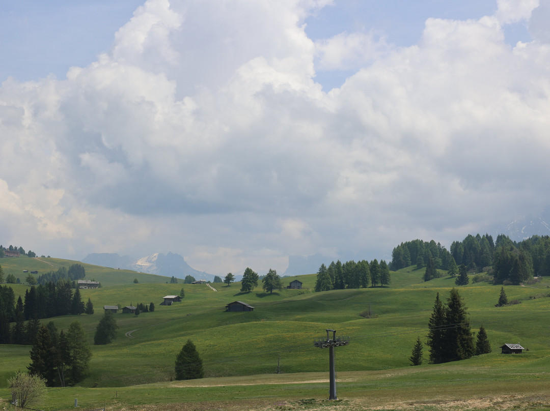 Alpe di Siusi - Seiser Alm Bahn景点图片