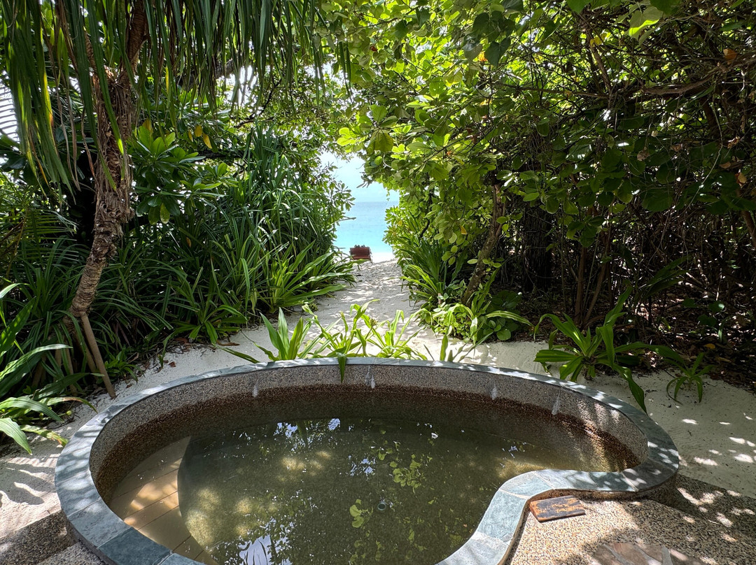 柯可棕榈杜妮科酒店主图