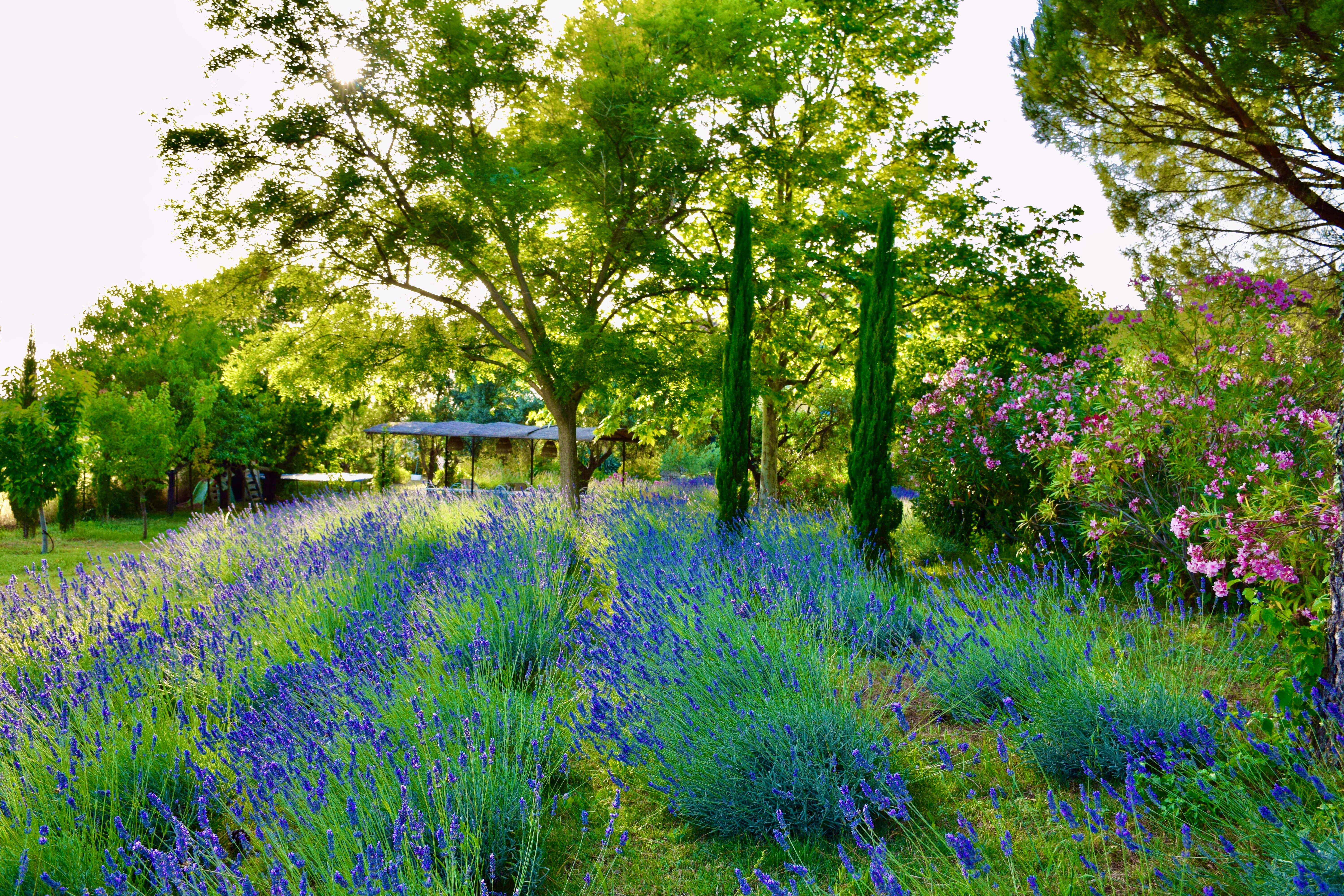 Bastide Saint-Didier-家庭/游戏区