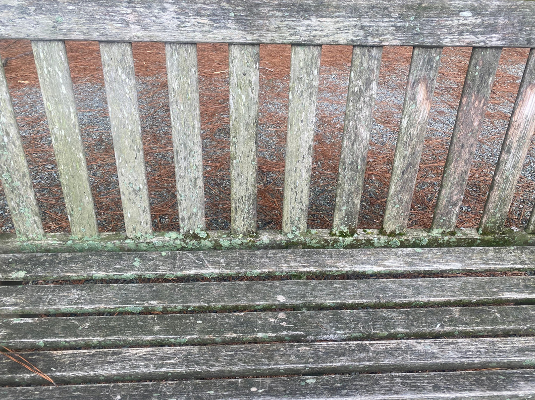 Fearrington Village-Pittsboro必去景点