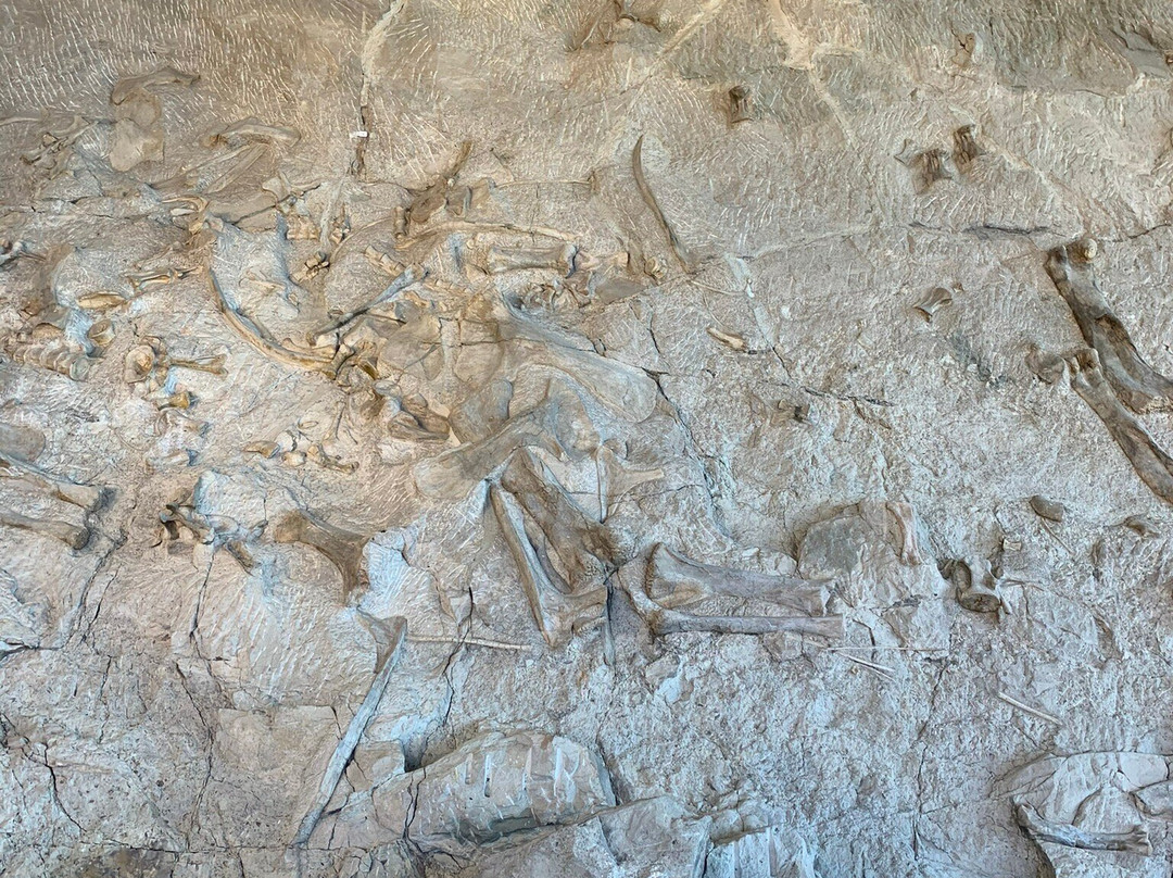 Dinosaur Quarry-Jensen必去景点