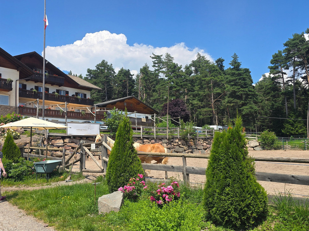 Gasthof Edelweiss主图