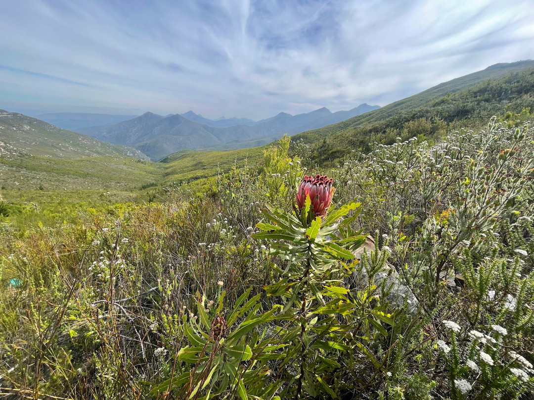 Robinson Pass-奥兹洪必去景点
