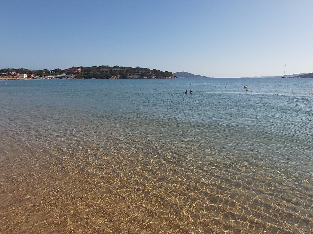 Spiaggia dell'Isola dei Gabbiani (Isuledda)-帕劳必去景点