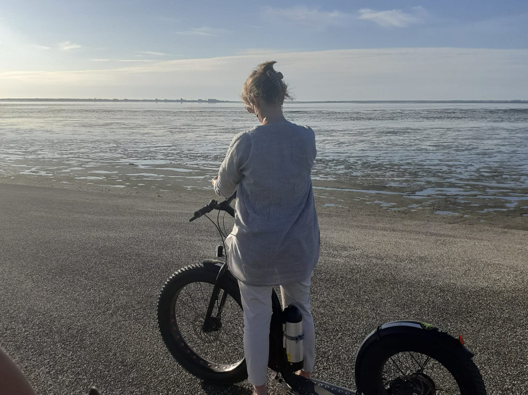 Rondje Wieringen-Den Oever必去景点