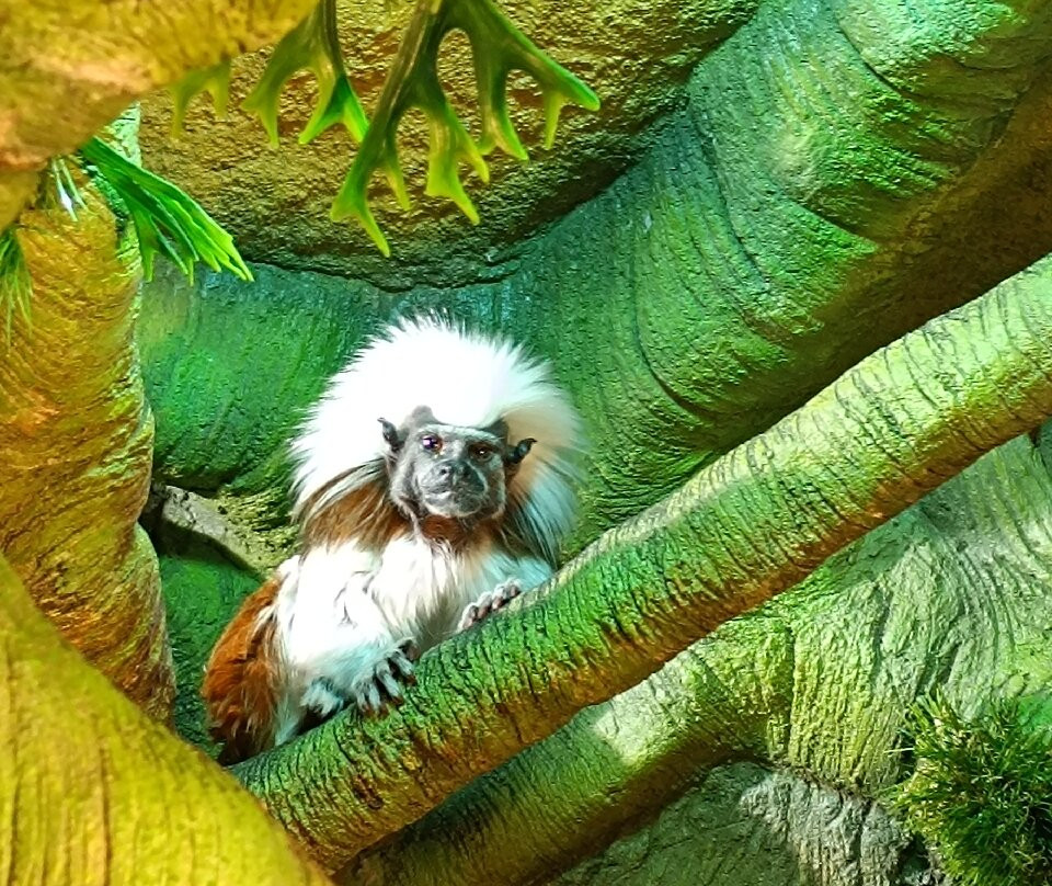 Latgale Zoological Garden-Daugavpils必去景点