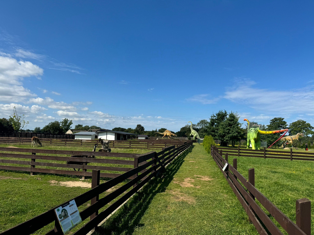 Baltic Dinosaur Park-Wrzosowo必去景点