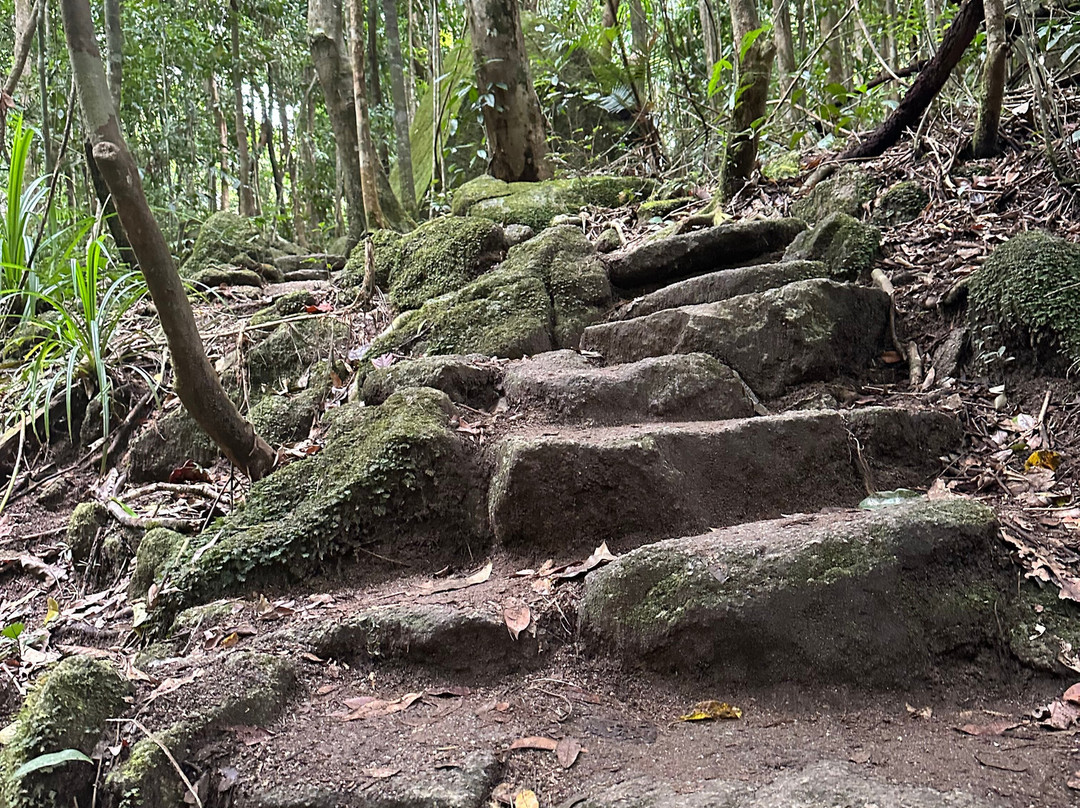 Mossman Gorge-道格拉斯港必去景点