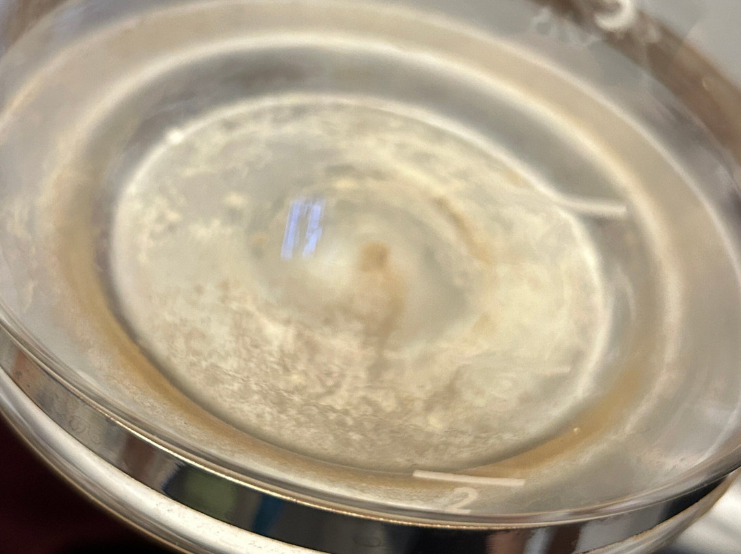 The Becket Motel主图