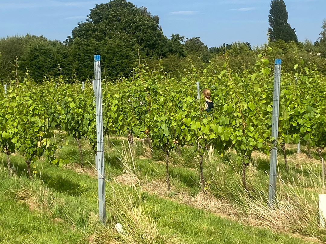 Hanwell Wine Estate景点图片