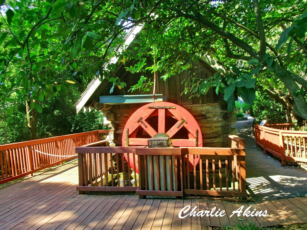 Mill Mountain Zoo-罗阿诺克必去景点