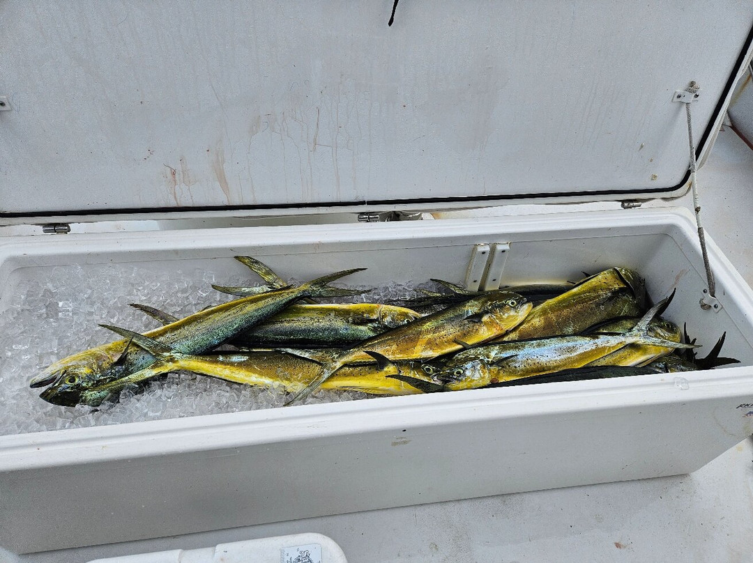 Caribsea Sport Fishing Charters-伊斯拉摩拉达必去景点