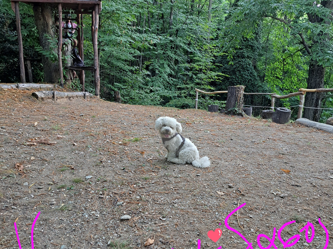 Hike Away in Pelion-Tsagkarada必去景点