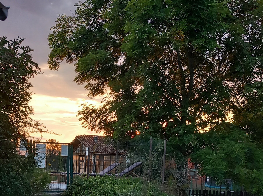 Chambres D'Hôtes Du Domaine De La Loge主图