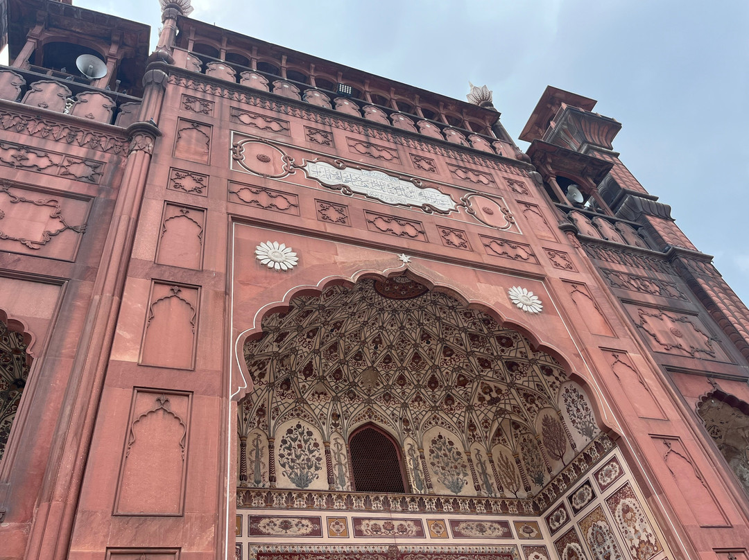 Snow Leopard Tours-撒马尔罕必去景点