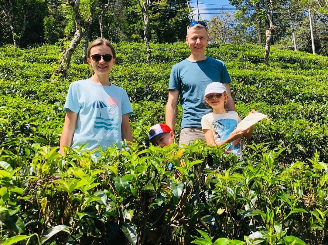 MB Travels & Tours Sri Lanka