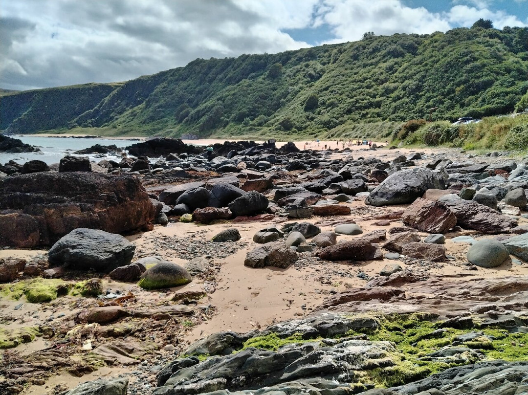 Kinnagoe Bay景点图片